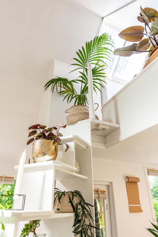 Boho Hill Waiheke Island Villa Palm Beach Exterior photo