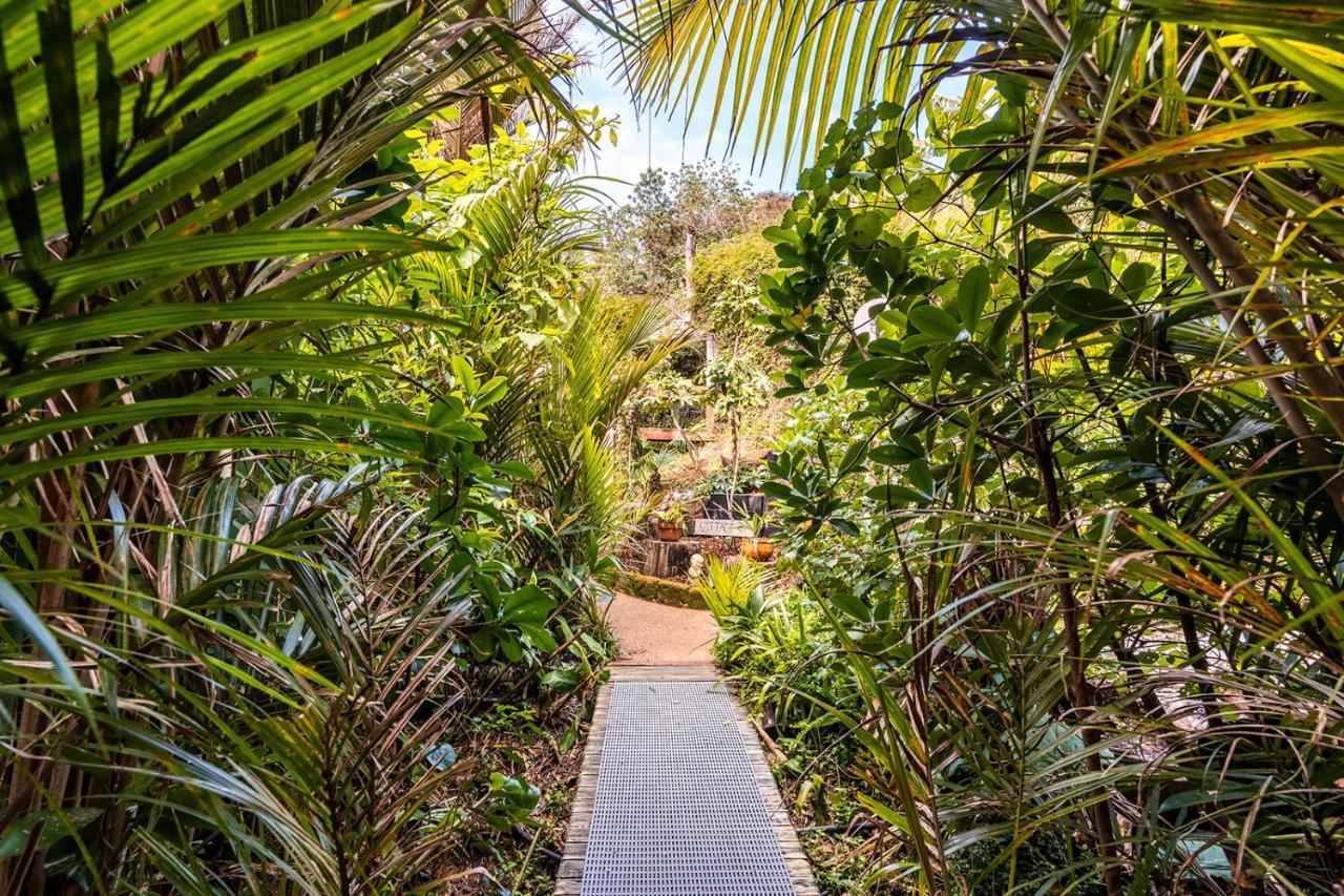 Boho Hill Waiheke Island Villa Palm Beach Exterior photo