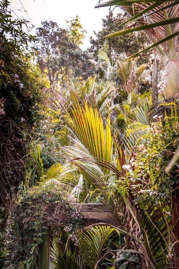 Boho Hill Waiheke Island Villa Palm Beach Exterior photo