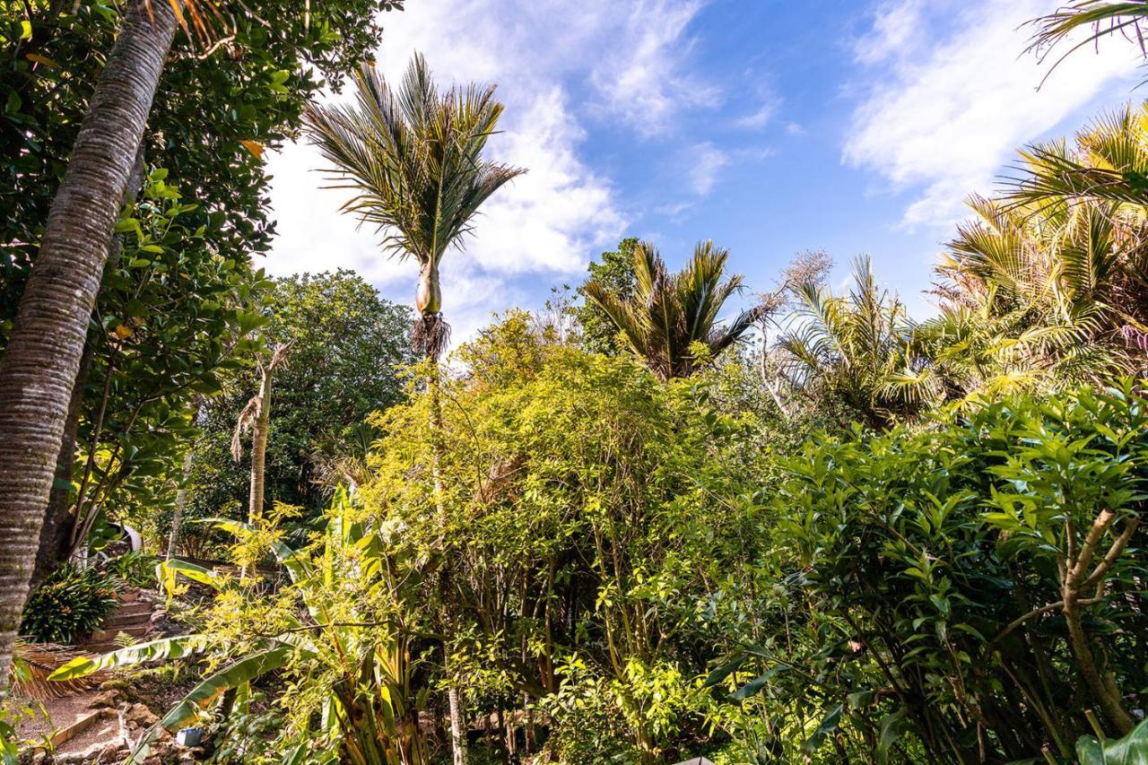 Boho Hill Waiheke Island Villa Palm Beach Exterior photo