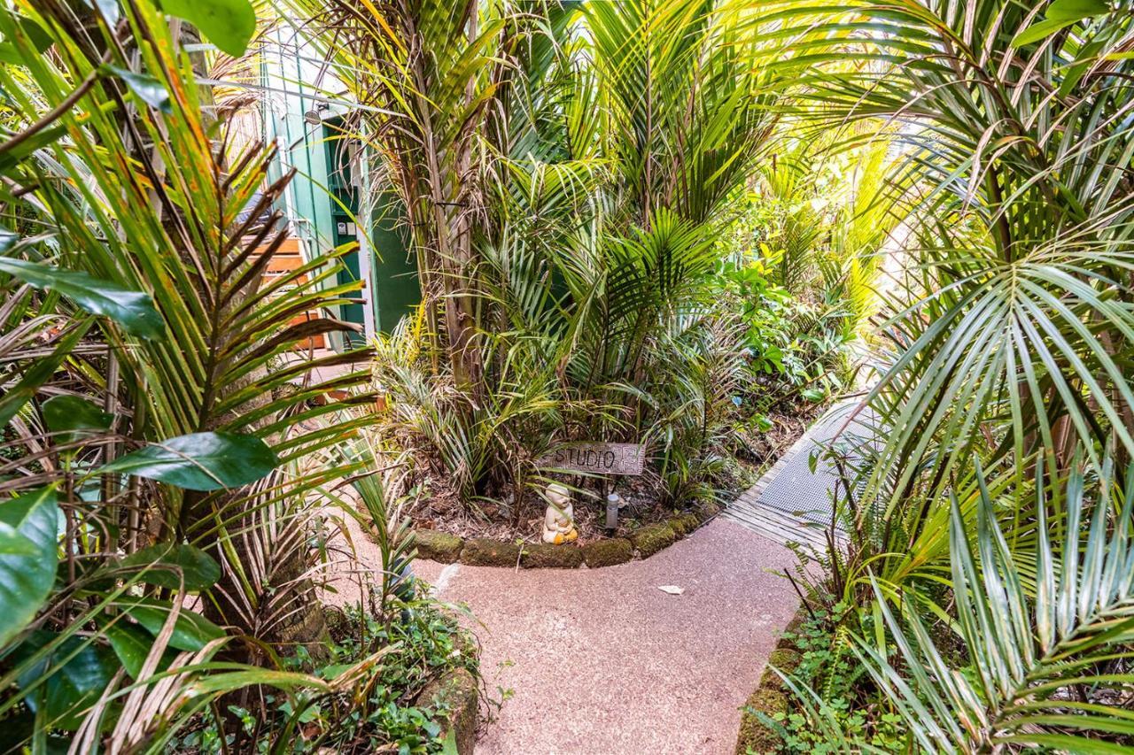 Boho Hill Waiheke Island Villa Palm Beach Exterior photo