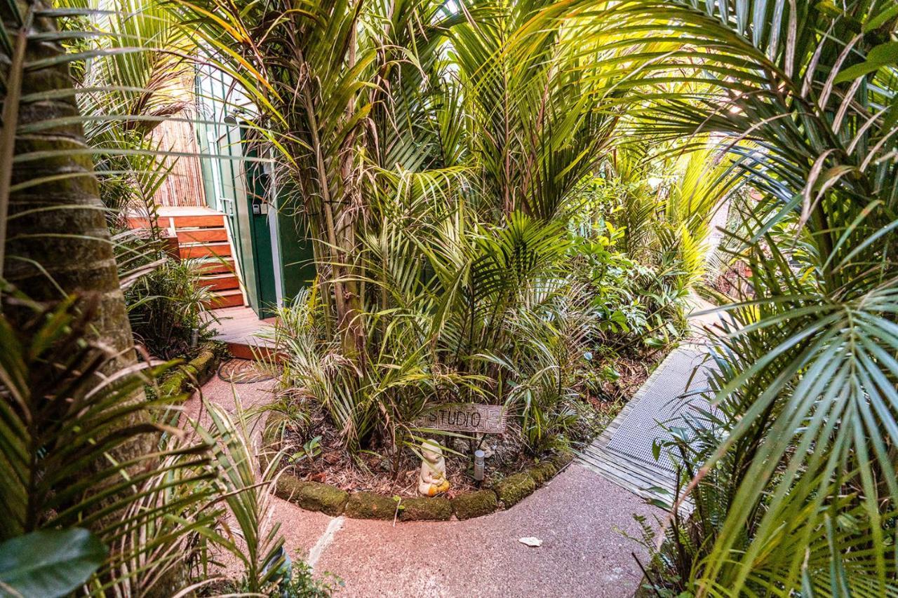 Boho Hill Waiheke Island Villa Palm Beach Exterior photo